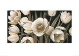 Sepia Tulips