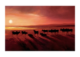 Zebu At Dusk