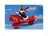 Biggles' Cousin