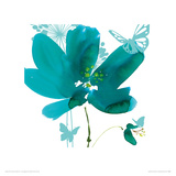 Butterflies and Flowers