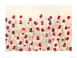 Poppy Profusion