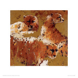 Cheetahs I