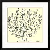 Le Buisson