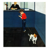 "Dog License"  June 21  1952