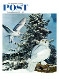 "Snowy Owls" Saturday Evening Post Cover  September 14  1957