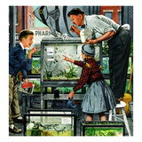 "Fish Aquarium"  October 30  1954