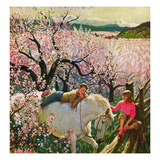 "Apple Blossom Time"  May 6  1950