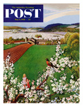 "Harbinger of Spring" Saturday Evening Post Cover  May 7  1955