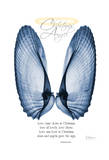 Christmas Angle Wings