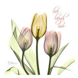 Easter Bonnet I Tulips