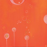 Photosynthesis II