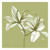 Twin Lilies on Pale Green