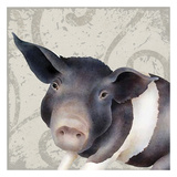 Pig Posing