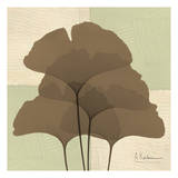 Ginkgo Sienna Quad