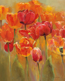 Tulips in the Midst I