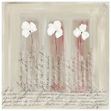 3 Fleurs