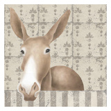 Mule Posing Close-Up