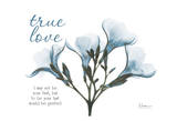 Blue Oleander  True Love
