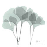 Ginkgo in Pale Blue