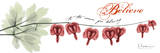 Bleeding Heart Believe