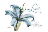 Love Lily in Blue