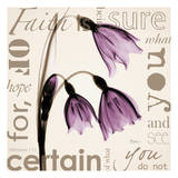 Faith  Violet Tulips