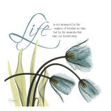 Swaying Tulips Blue  Life