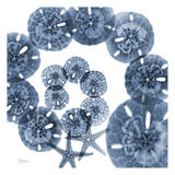 Collage of Sand Dollars and Starfish