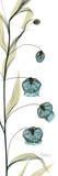 Sandersonia Tower in Blue