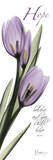 Tulips in Purple  Hope