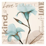 Love  Blue Beauties