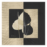 Bo Tree on Squares