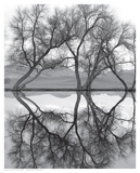 Clarity in the Waters