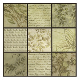 Garden Herbs