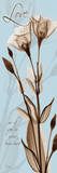 Brown on Blue Tulip Love