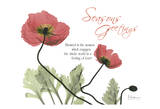 Iceland Poppies Seasons