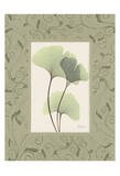 Ginkgo With Green Damask Frame
