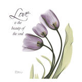 Swaying Tulips Purple  Love