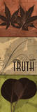 Leaves  Truth