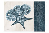Starfish Sand Dollar Blue