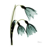 Three Tulips in Green