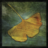 Ginkgo III