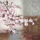 Cherry Bloom II