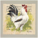 Coq Blanc
