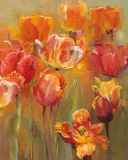 Tulips in the Midst II