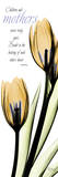 Mother  Tulip in Yellow