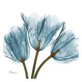 Tulips in Blue