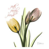 Tulips Faith Family Friends