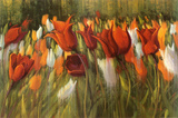 Tipsy Tulips