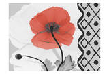 Iceland Poppy Party